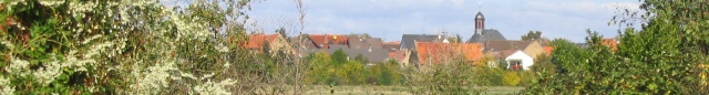 Bauschheim